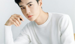 肖战王一博吃瓜爆料,娱乐圈的甜蜜与争议