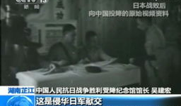 日本视频在线看,跟随视频在线领略异国风情