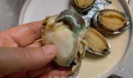 鲍鱼的做法视频,视频教程详解