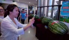 蔚县吃瓜事件最新爆料新闻,最新爆料揭露惊人内幕