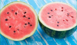 会长吃瓜爆料准吗,揭秘娱乐圈真相，准确度令人惊叹